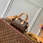 Louis Vuitton Nano Speedy-16CM
